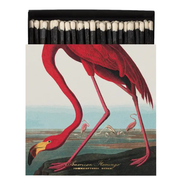 Archivist Matches Flamingo