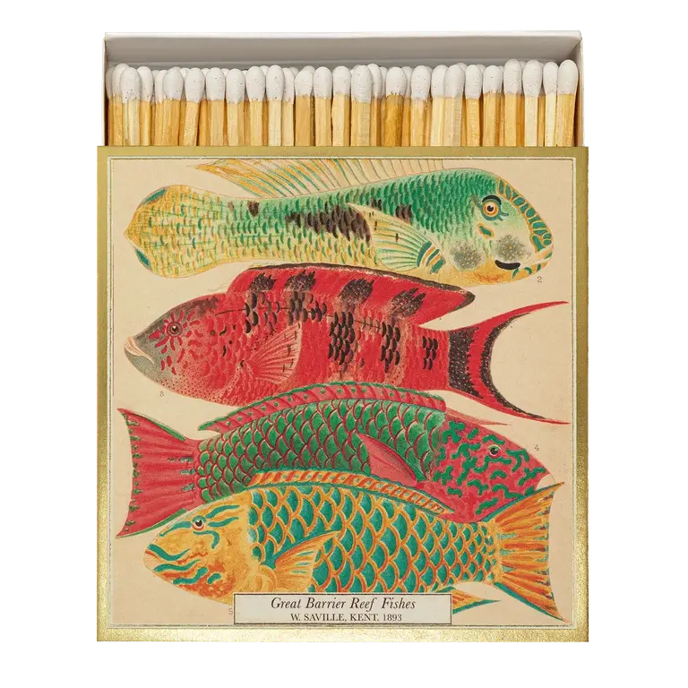 Archivist Matches Fish