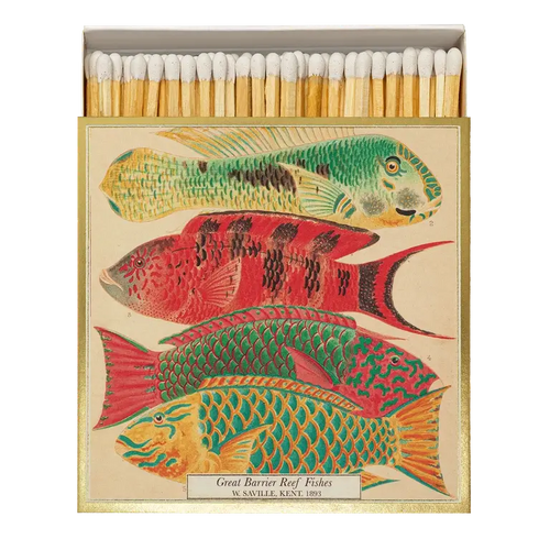 Archivist Matches Fish