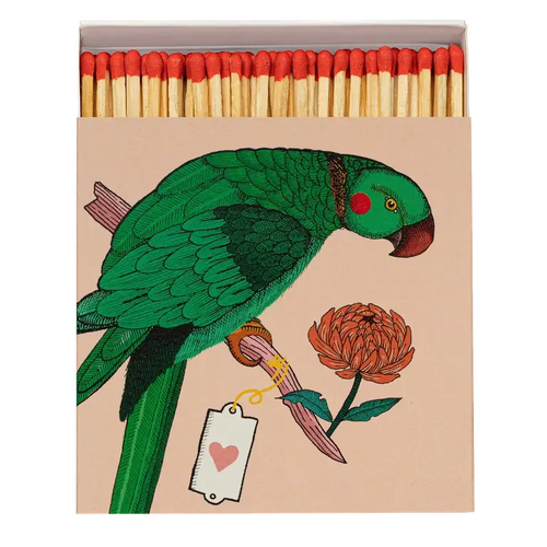 Archivist Matches Parrot