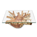 Java Root Coffee Table Rectangle With 100 X 70cm Glass