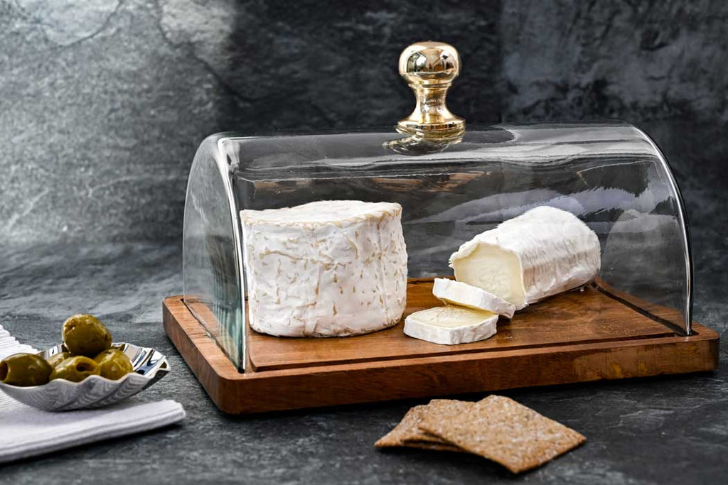 Antibes Dome Cloche - Rectangle